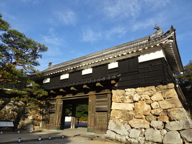 追手門