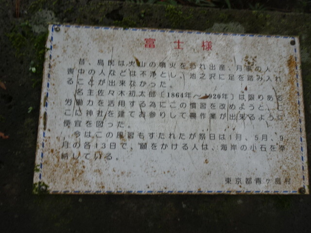 DSC06513