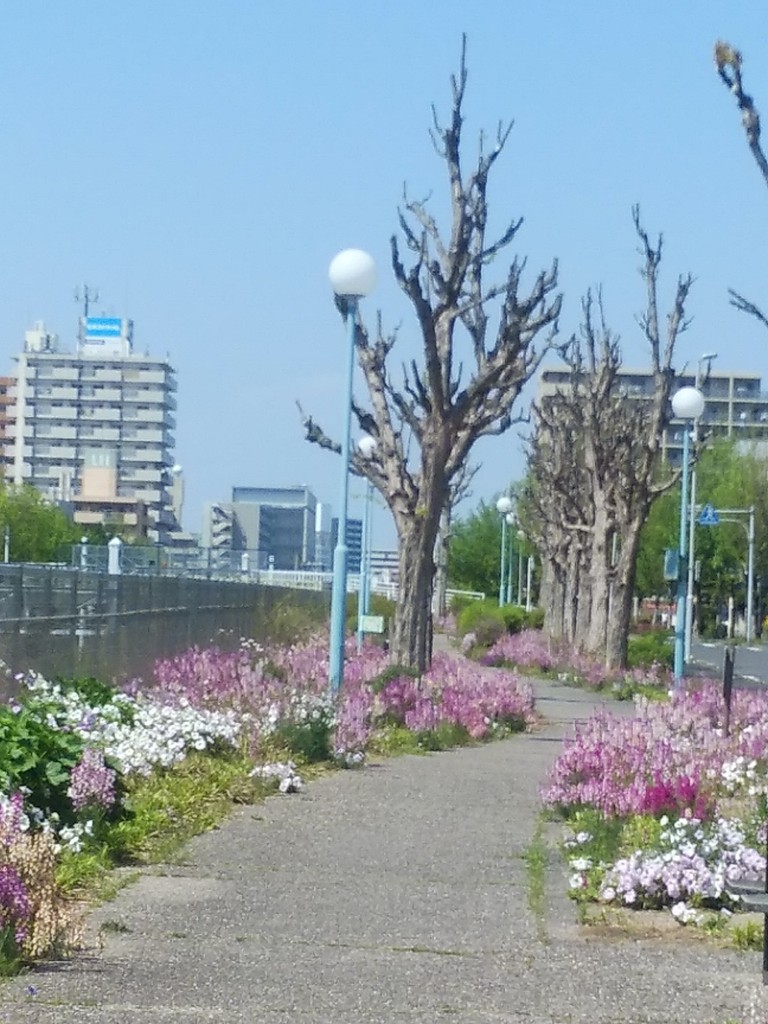 イメージ 1