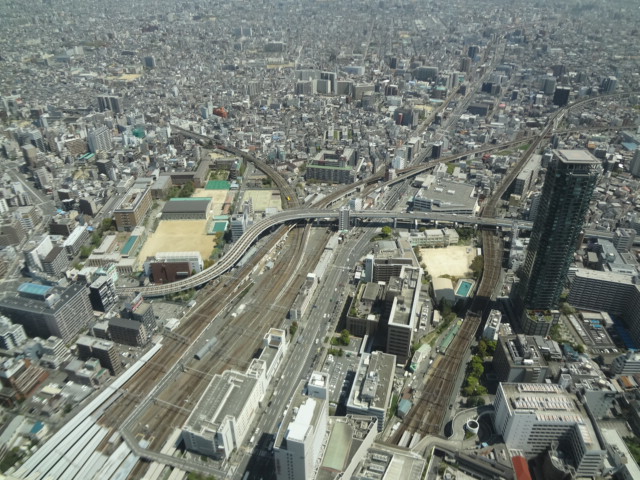 イメージ 8