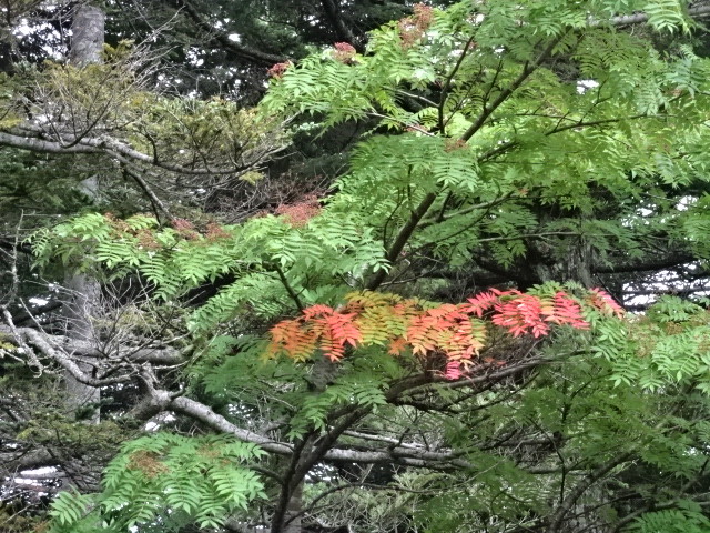 イメージ 7