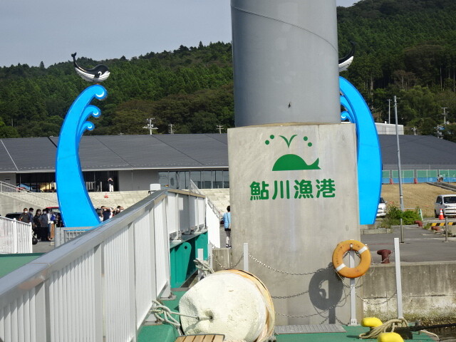 鮎川は鯨