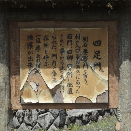 イメージ 8