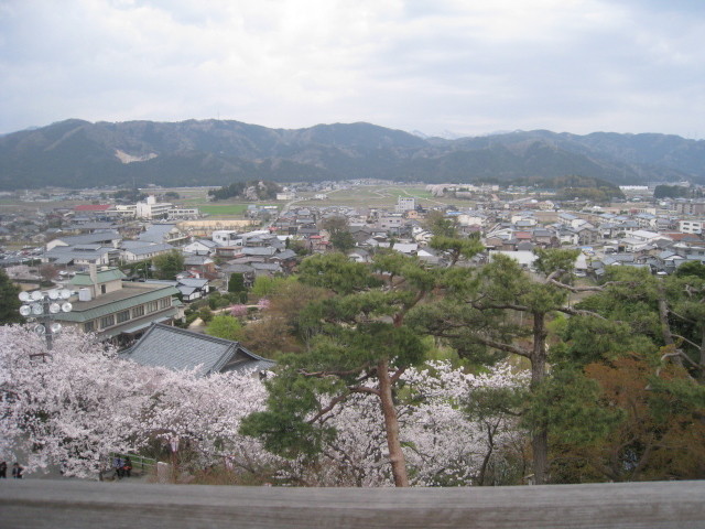 イメージ 7