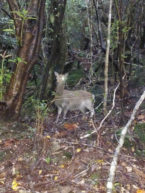 登山の途中で