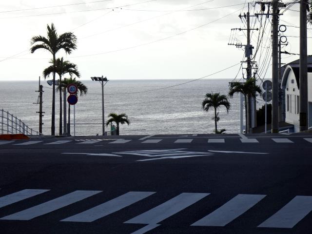 朝の通り