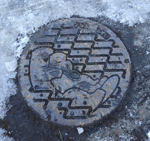 小樽汚水　ラッコの親子
