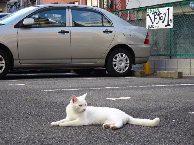 大曽根南口近くで