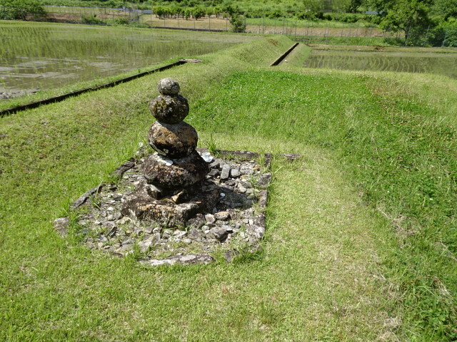 田んぼの中に