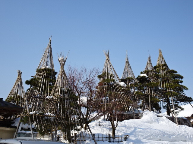 豪雪地帯の雪囲い