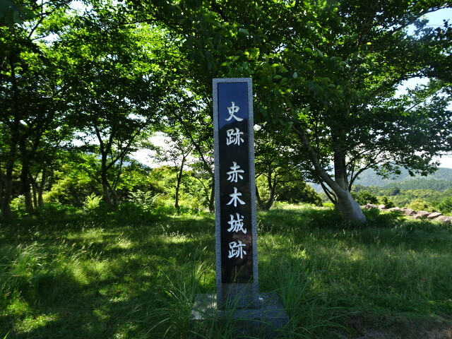 DSC05295