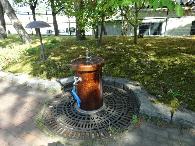 庭の水飲み