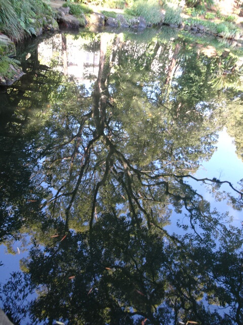 池もに