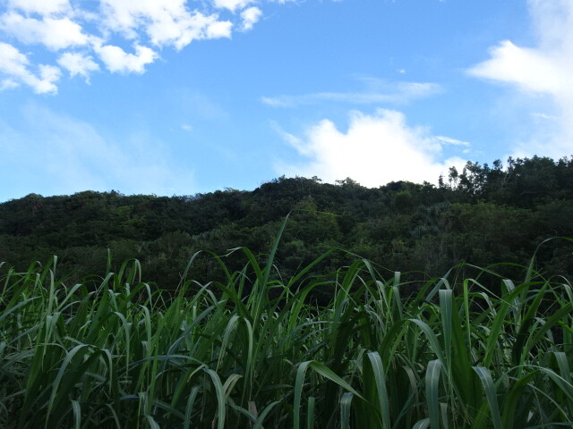屏風の様に