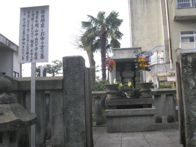 イメージ 6