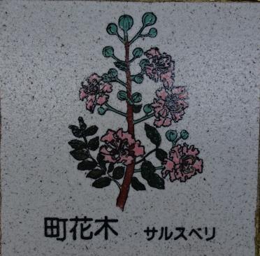 DSC01375