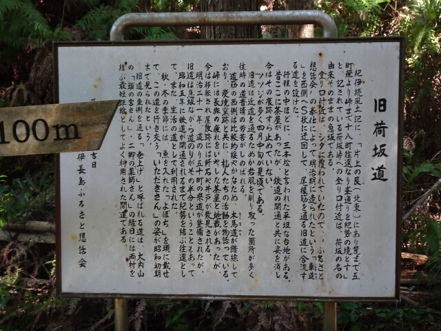 DSC00301