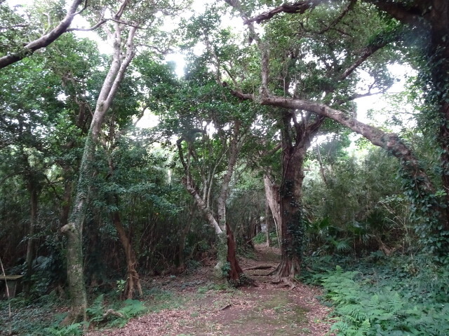 金山神社 (2)