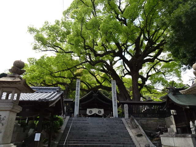 最古の神社806年建立と言われている