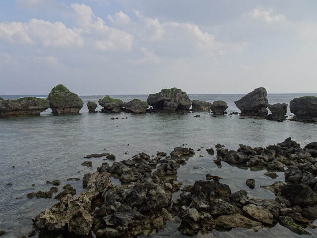 DSC02007
