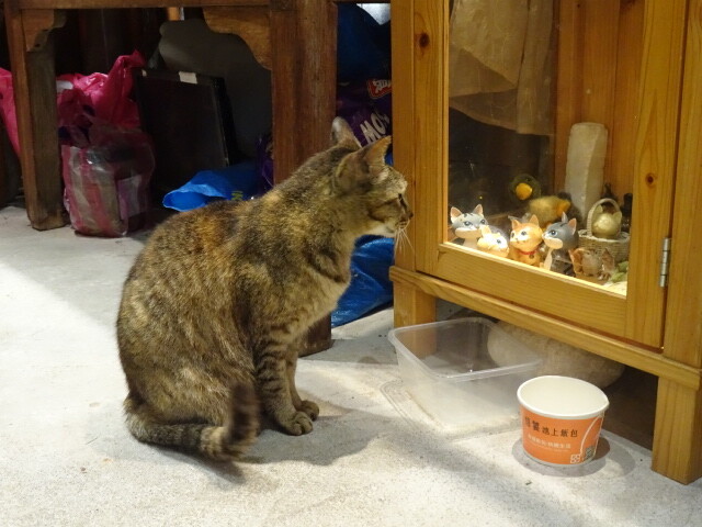 モデルがこのこ