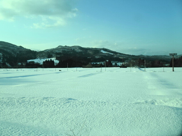 雪原を走る