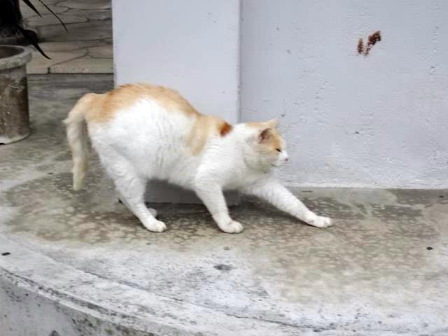 DSC01812