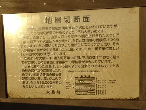 DSC05589