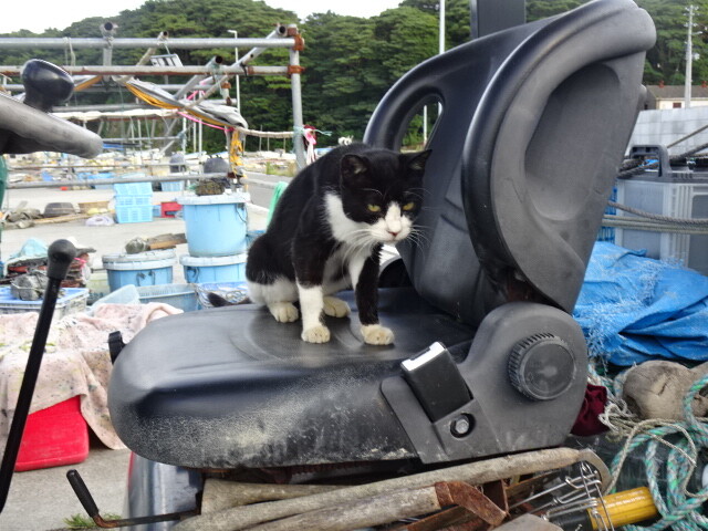 僕は運転手