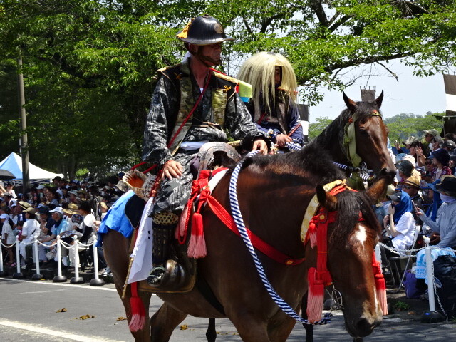 動物の毛の被り物