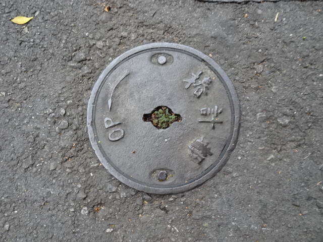 台中市？？