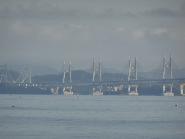 朝の瀬戸大橋