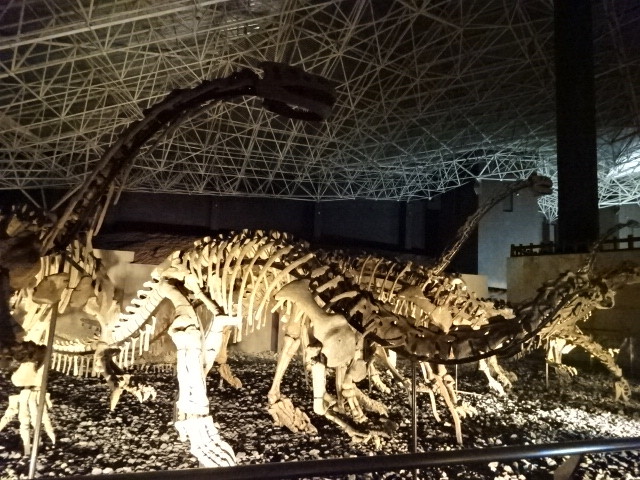 イメージ 16