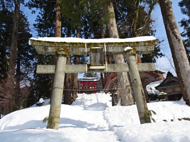 ここをよじ登ります