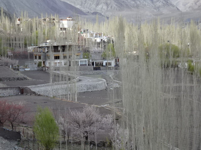 DSC05727