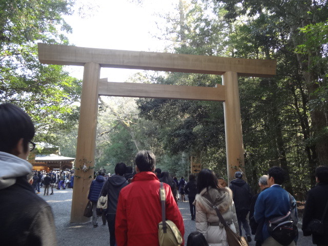 イメージ 7
