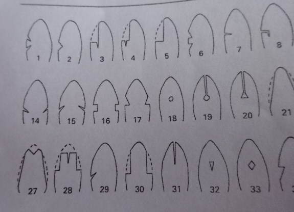 イメージ 7