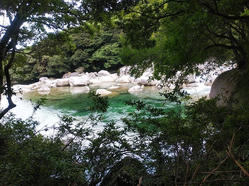 綺麗