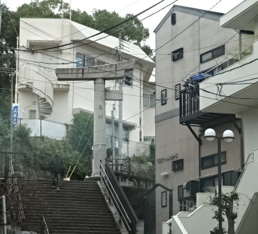 イメージ 12