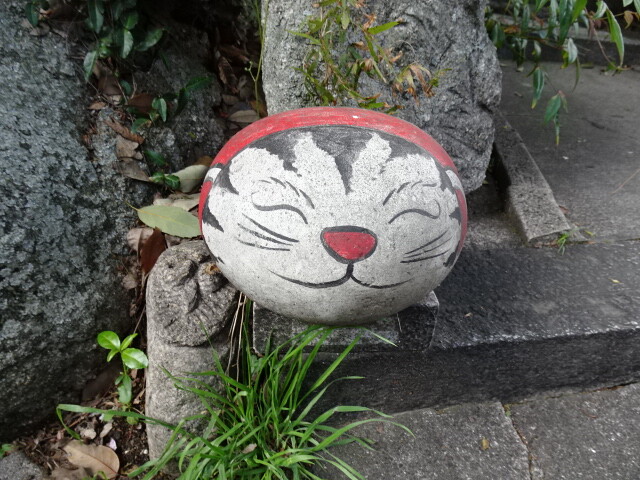 猫の道１