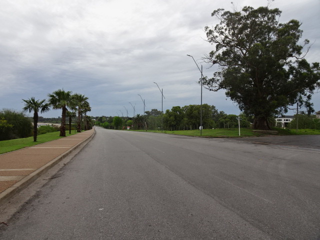 DSC07764