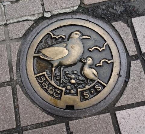 八戸市ウミネコ