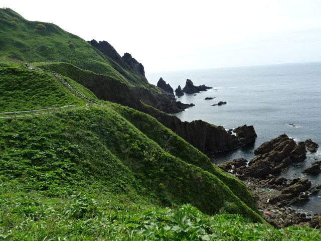大野亀 (2)