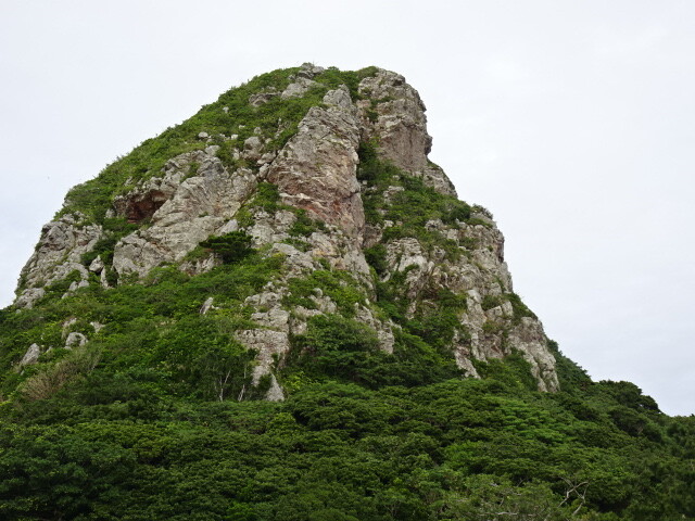 近くで見ると