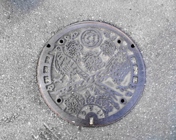 秩父市雨水、山鳥ときぶね菊のデザイン
