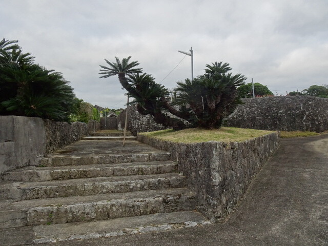 DSC07416