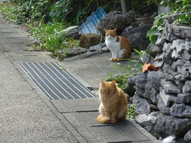並んで