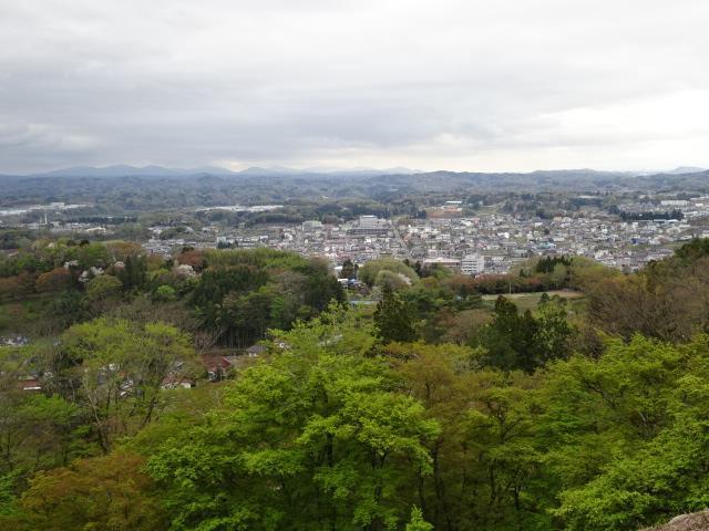 イメージ 16