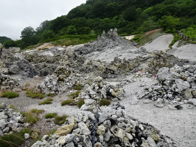 お山へ