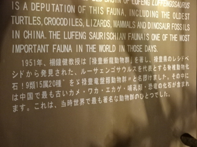 イメージ 15